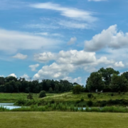 Landscape in Libertyville Illinois.